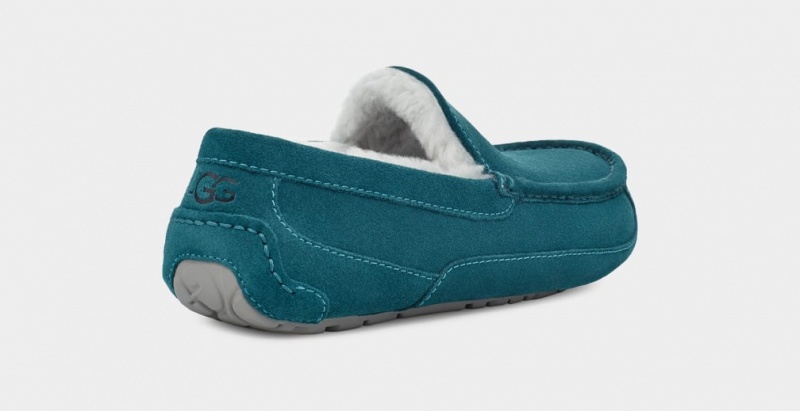 Ugg Ascot Men's Slippers Blue | LMPRWJC-63