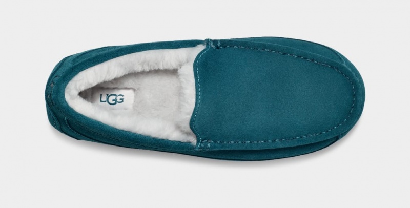 Ugg Ascot Men's Slippers Blue | LMPRWJC-63