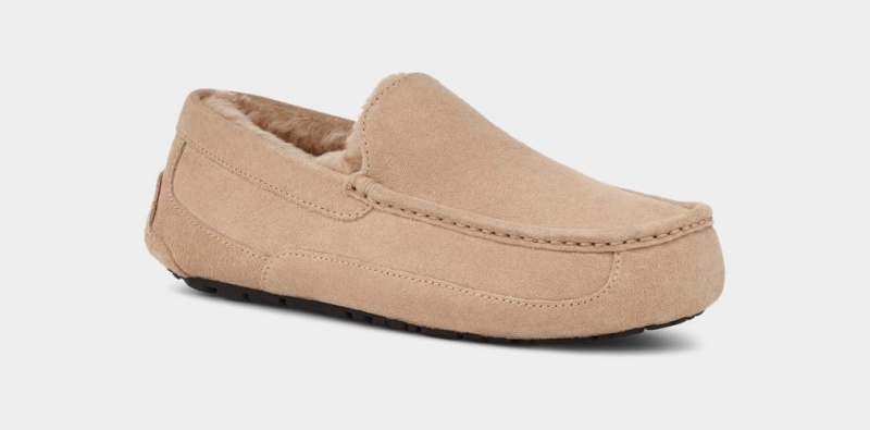 Ugg Ascot Men's Slippers Brown | RSVWDGK-93