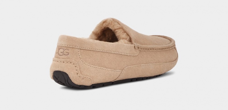 Ugg Ascot Men's Slippers Brown | RSVWDGK-93