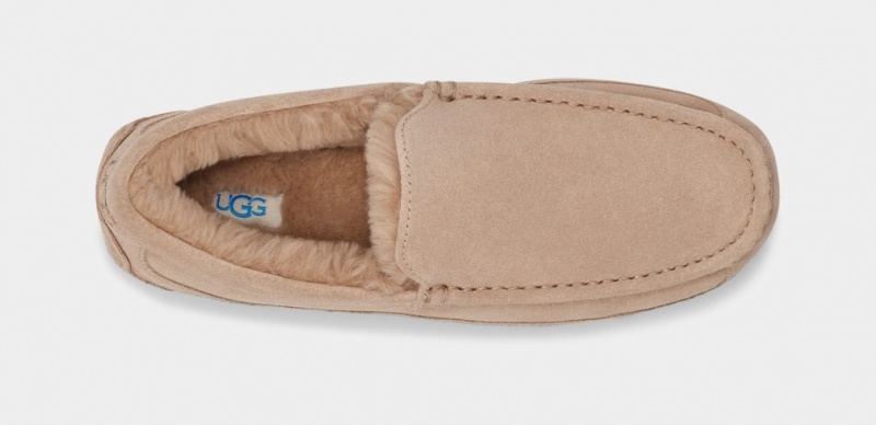 Ugg Ascot Men's Slippers Brown | RSVWDGK-93