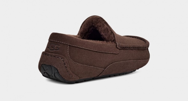 Ugg Ascot Men's Slippers Brown | UQMVGYO-68
