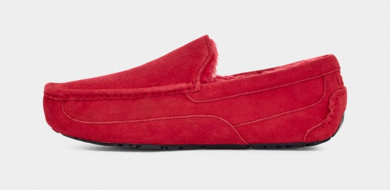 Ugg Ascot Men's Slippers Red | DHFKSPB-59