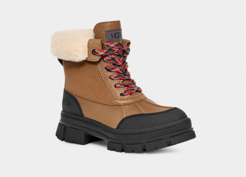 Ugg Ashton Addie Women's Boots Brown | JXWBVKE-19