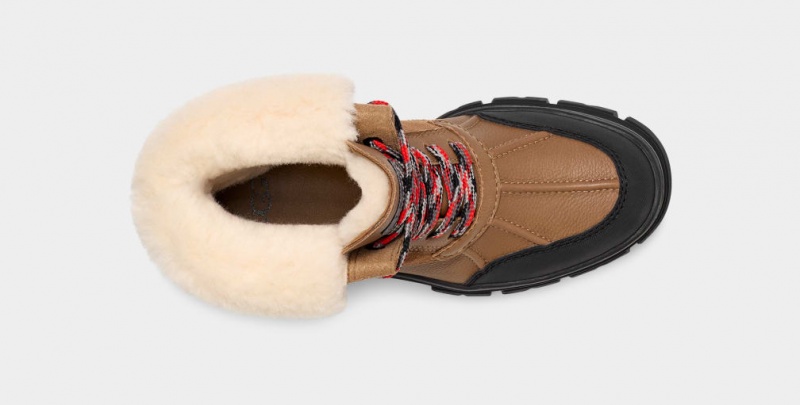 Ugg Ashton Addie Women's Boots Brown | JXWBVKE-19