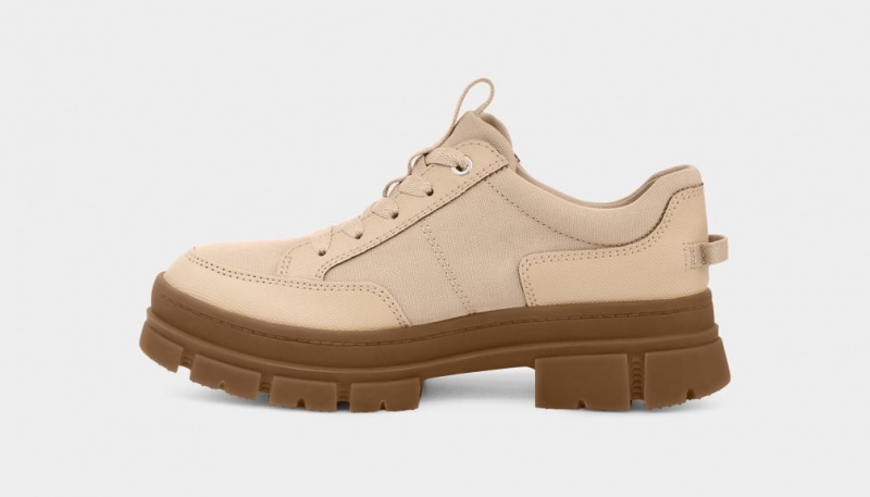 Ugg Ashton Hybrid Women's Sneakers Beige | YBELIVA-78
