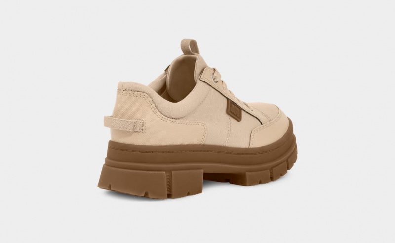 Ugg Ashton Hybrid Women's Sneakers Beige | YBELIVA-78