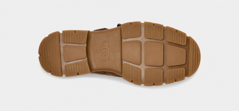 Ugg Ashton Suede Women's Clogs Brown | DRXNCWI-20