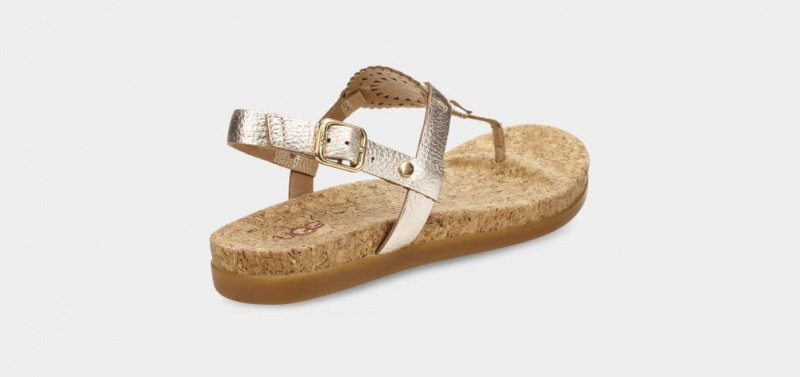 Ugg Ayden II Metallic Women's Sandals Gold | RNIFYDS-74