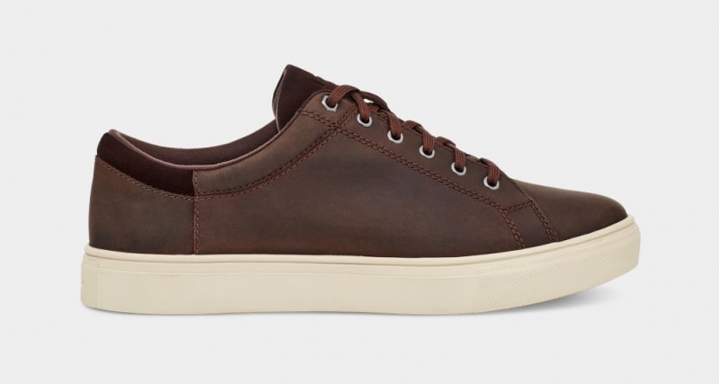 Ugg Baysider Low Weather Men\'s Sneakers Brown | EVKTYBN-64