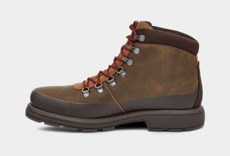 Ugg Biltmore Hiker Men's Boots Brown | GXTRCYA-58