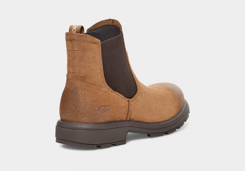 Ugg Biltmore Men's Chelsea Boots Brown | UBVPQEK-80