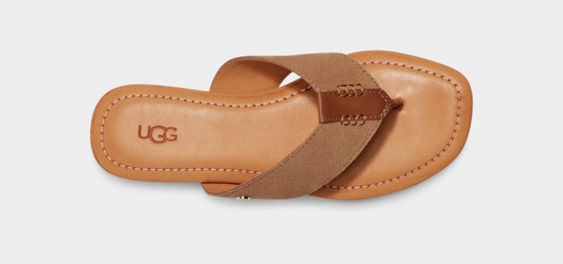 Ugg Carey Flip Suede Women's Slides Brown | SHRTDQN-41