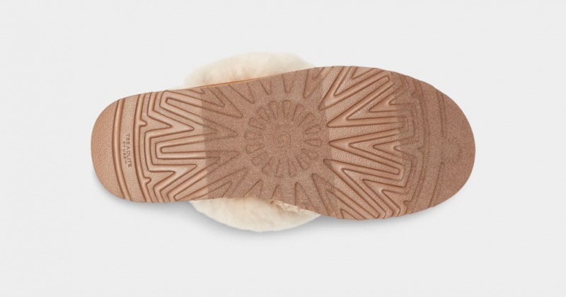 Ugg Cozy Women's Slippers Cream | DBNFAVU-36
