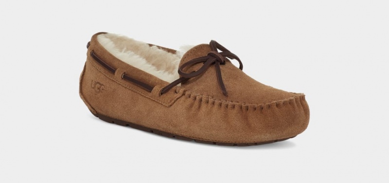 Ugg Dakota Women's Slippers Brown | QOBCXVT-93