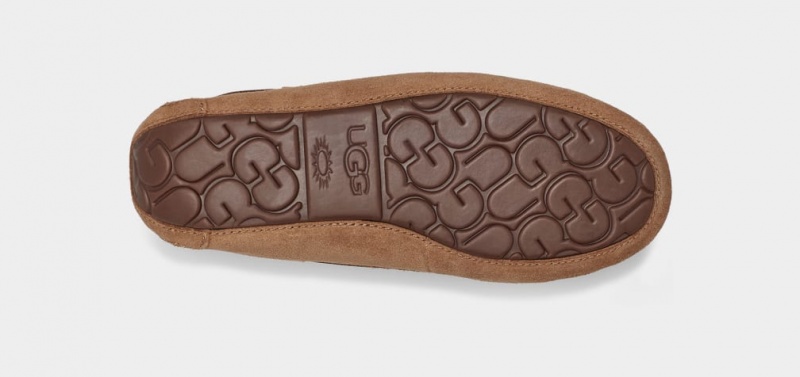 Ugg Dakota Women's Slippers Brown | QOBCXVT-93