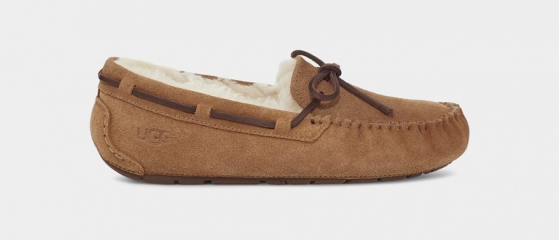 Ugg Dakota Women\'s Slippers Brown | QOBCXVT-93