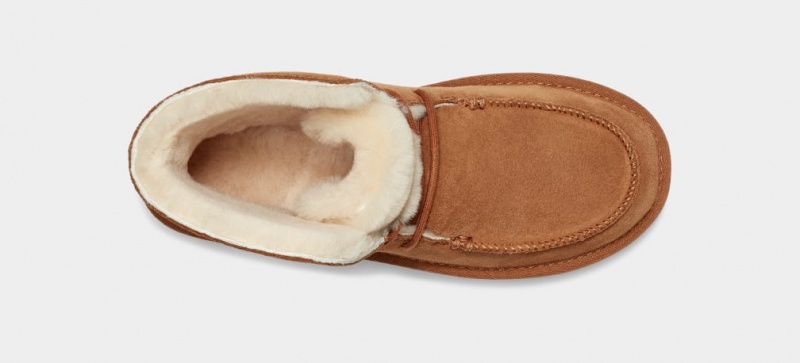 Ugg Diara Women's Boots Brown | NBVTDMH-58