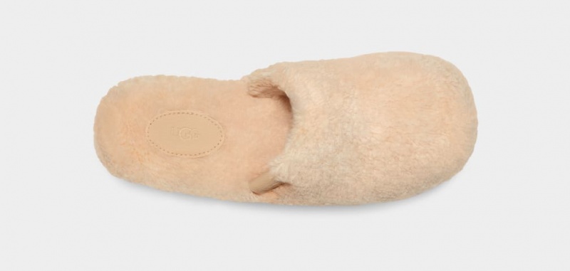 Ugg Fuzz Sugar Women's Clogs Beige | DVJTYPR-78