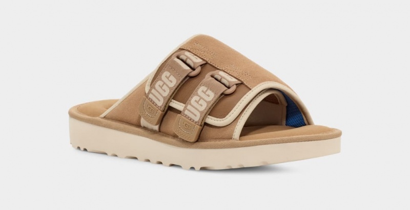 Ugg Goldencoast Strap Men's Slides Brown | FZTCSYI-03