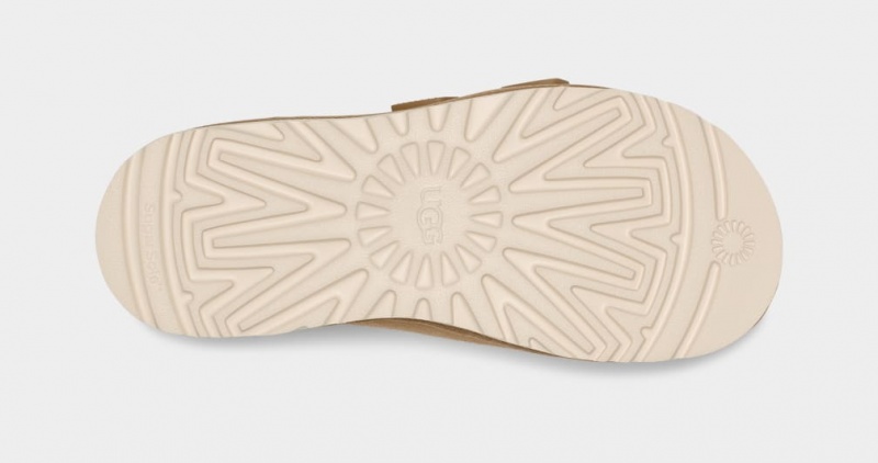 Ugg Goldencoast Strap Men's Slides Brown | FZTCSYI-03