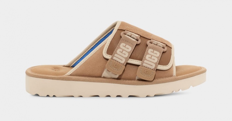 Ugg Goldencoast Strap Men\'s Slides Brown | FZTCSYI-03
