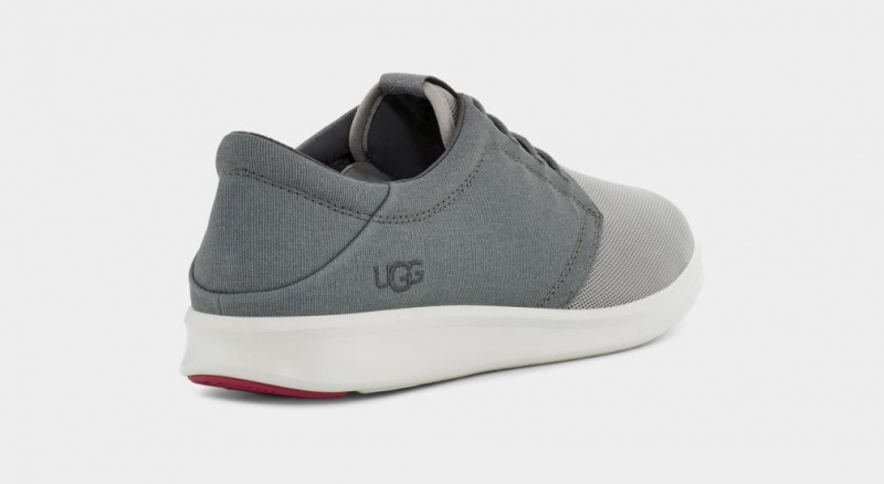 Ugg Greyson Men's Sneakers Grey | FYTLDBW-61