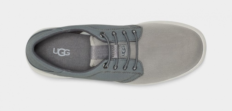 Ugg Greyson Men's Sneakers Grey | FYTLDBW-61