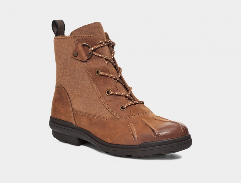 Ugg Hapsburg Duck Women's Boots Brown | POGDRUH-18
