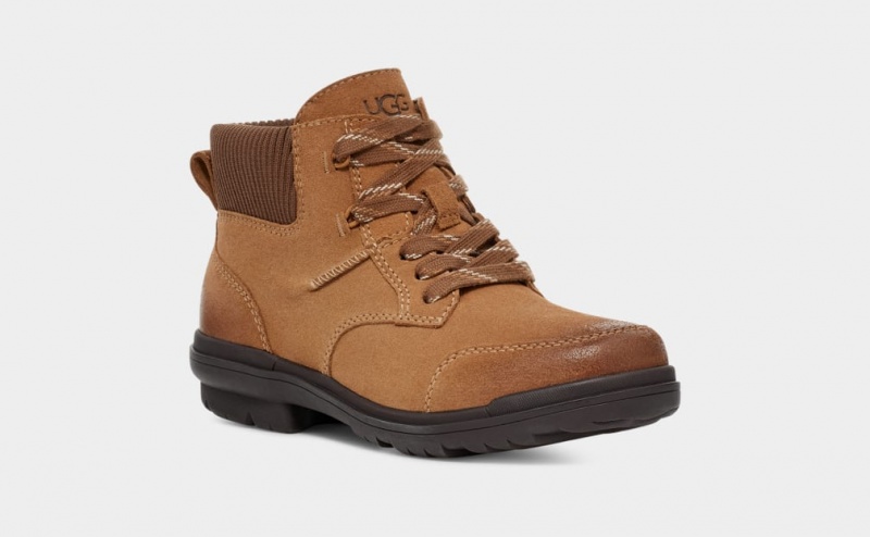 Ugg Hapsburg Women's Ankle Boots Brown | AEIBVRG-09