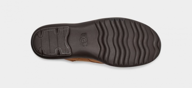 Ugg Hapsburg Women's Ankle Boots Brown | AEIBVRG-09