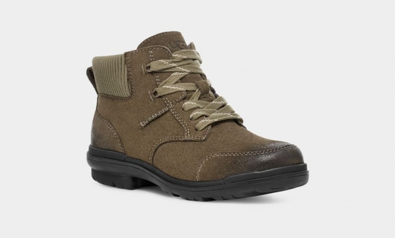 Ugg Hapsburg Women's Ankle Boots Brown | QJVTNKU-52