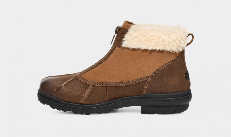 Ugg Hapsburg Zip Women's Boots Brown | QWPYDRN-63