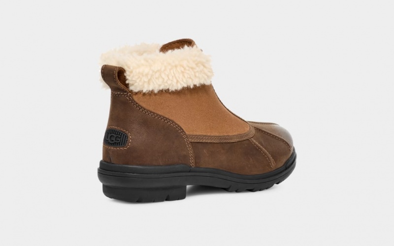 Ugg Hapsburg Zip Women's Boots Brown | QWPYDRN-63