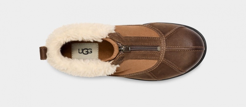 Ugg Hapsburg Zip Women's Boots Brown | QWPYDRN-63