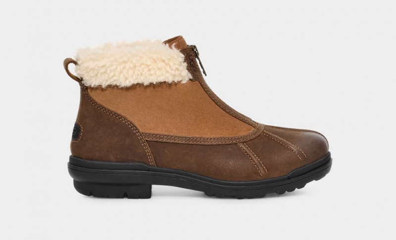 Ugg Hapsburg Zip Women\'s Boots Brown | QWPYDRN-63