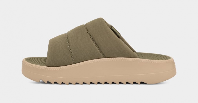 Ugg Maxxer Men's Slides Green | UGJIRHV-59