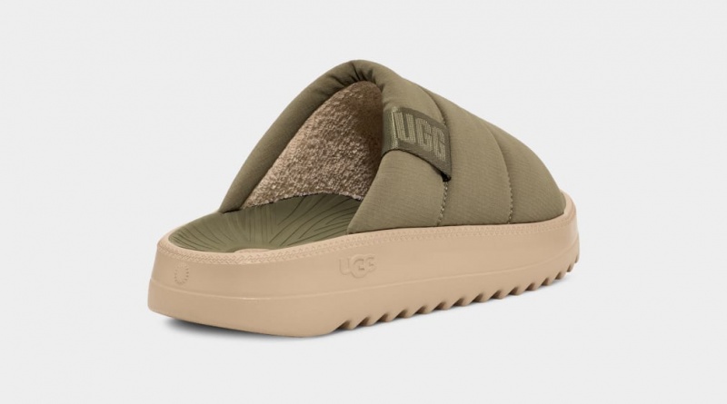 Ugg Maxxer Men's Slides Green | UGJIRHV-59