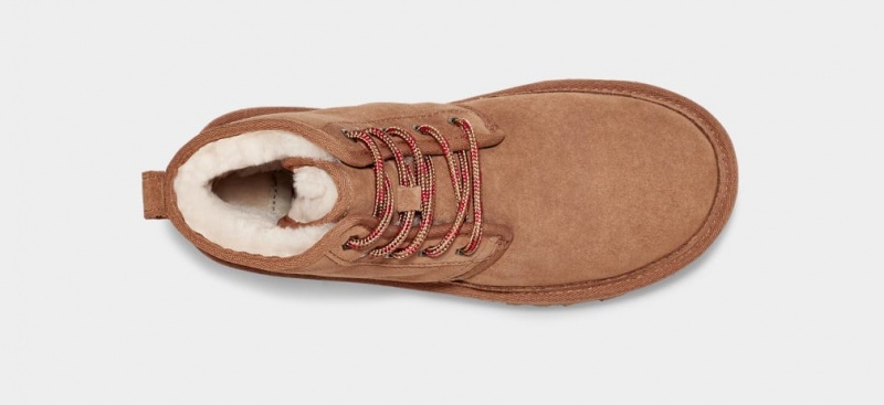 Ugg Neumel High Women's Boots Brown | AGLSXBM-45