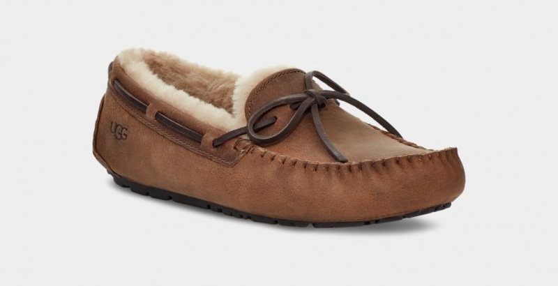 Ugg Olsen Men's Moccasins Brown | VYSNGDZ-70