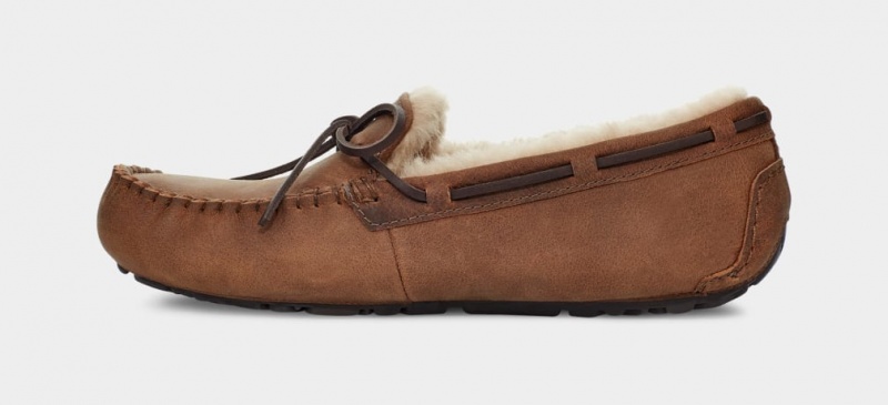 Ugg Olsen Men's Slippers Brown | LASMQKH-27