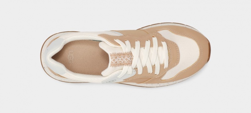 Ugg ReTrainer Women's Sneakers Brown | YFGJIKM-10