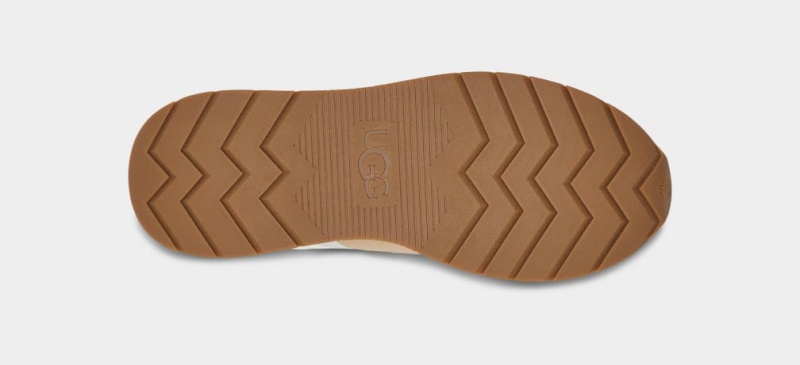 Ugg ReTrainer Women's Sneakers Brown | YFGJIKM-10