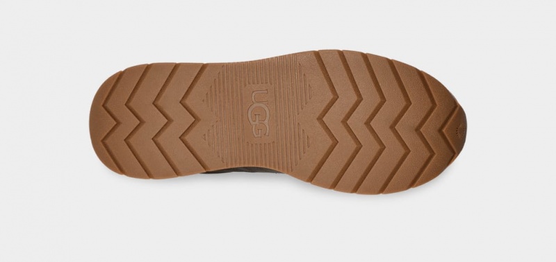 Ugg ReTrainer Women's Sneakers Olive | PJCDQMX-97