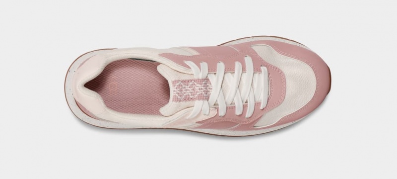 Ugg ReTrainer Women's Sneakers Rose / Grey | AFUINYK-46