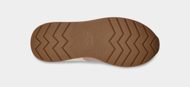 Ugg ReTrainer Women's Sneakers Rose / Grey | AFUINYK-46