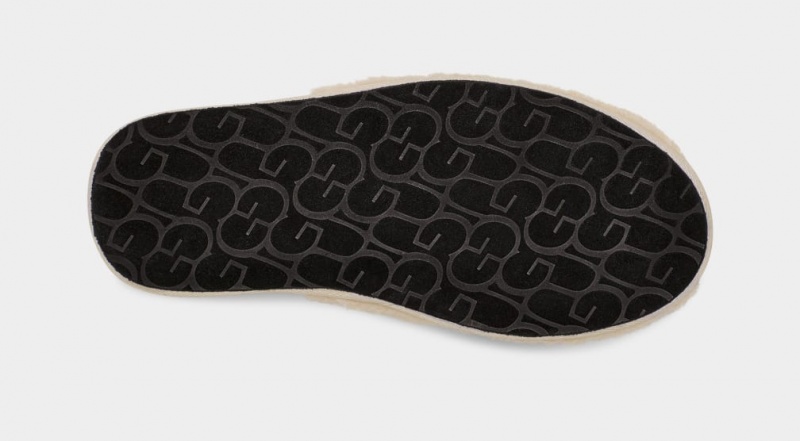 Ugg Scuff Curly Graphic Men's Slippers Beige | IYHFKDR-59