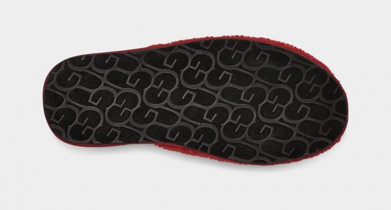 Ugg Scuff Curly Graphic Men's Slippers Red / Burgundy | PNVROHQ-79