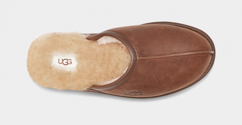 Ugg Scuff Leather Men's Slippers Brown | FIENKWB-29
