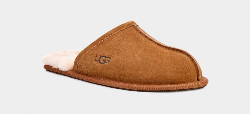 Ugg Scuff Men's Slippers Brown | DLUNCYI-70